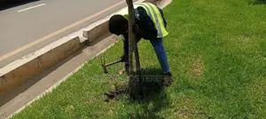 Landscaping Service