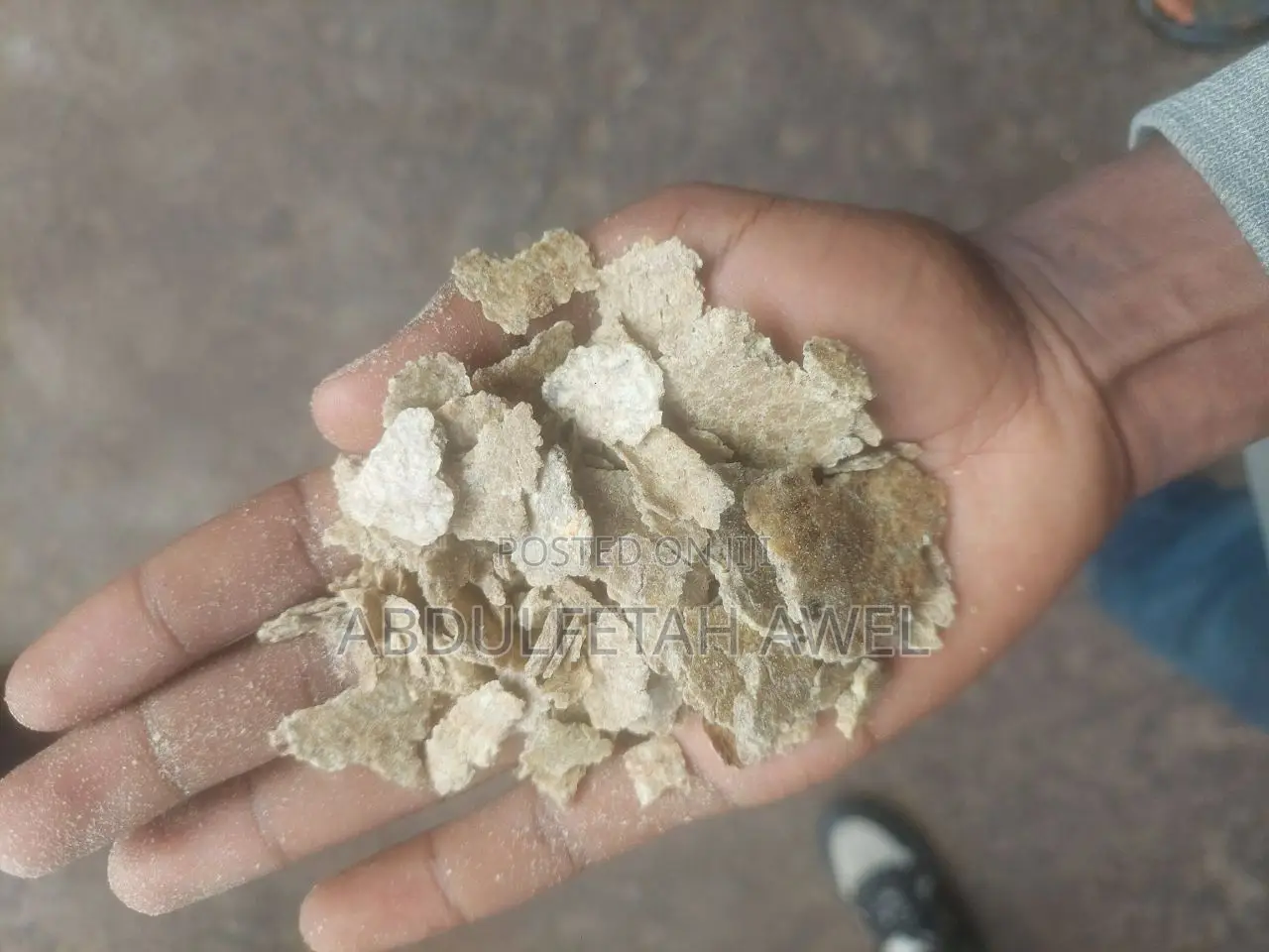 አብዱል ፈታ የእንሰሳት መኖ ማቀነባበርያ