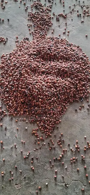አብዱል ፈታ የእንሰሳት መኖ ማቀነባበርያ