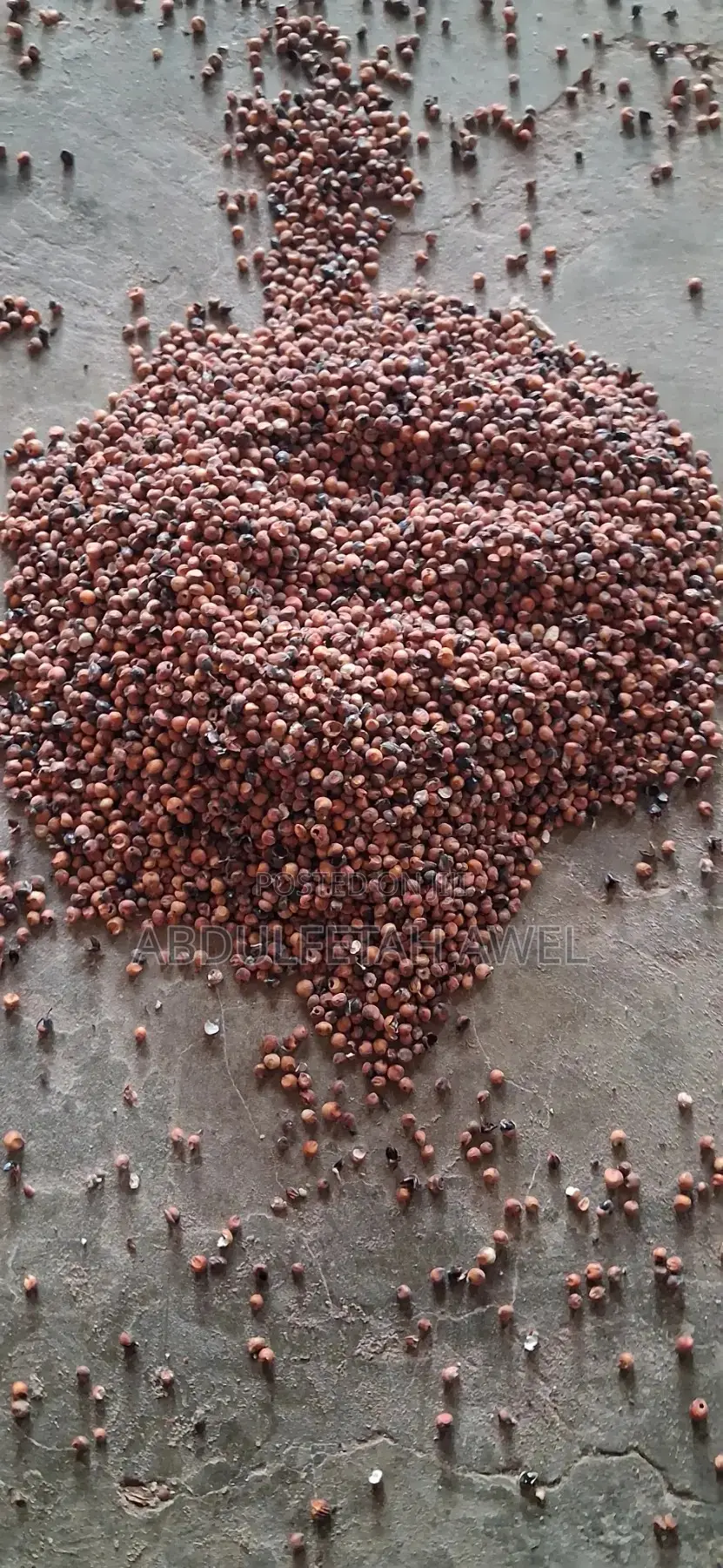 አብዱል ፈታ የእንሰሳት መኖ ማቀነባበርያ