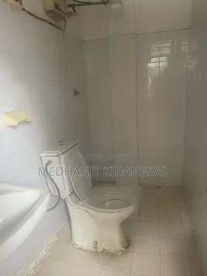 2bdrm Mansion in Bole for rent