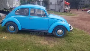 Volkswagen Beetle 1970 Blue