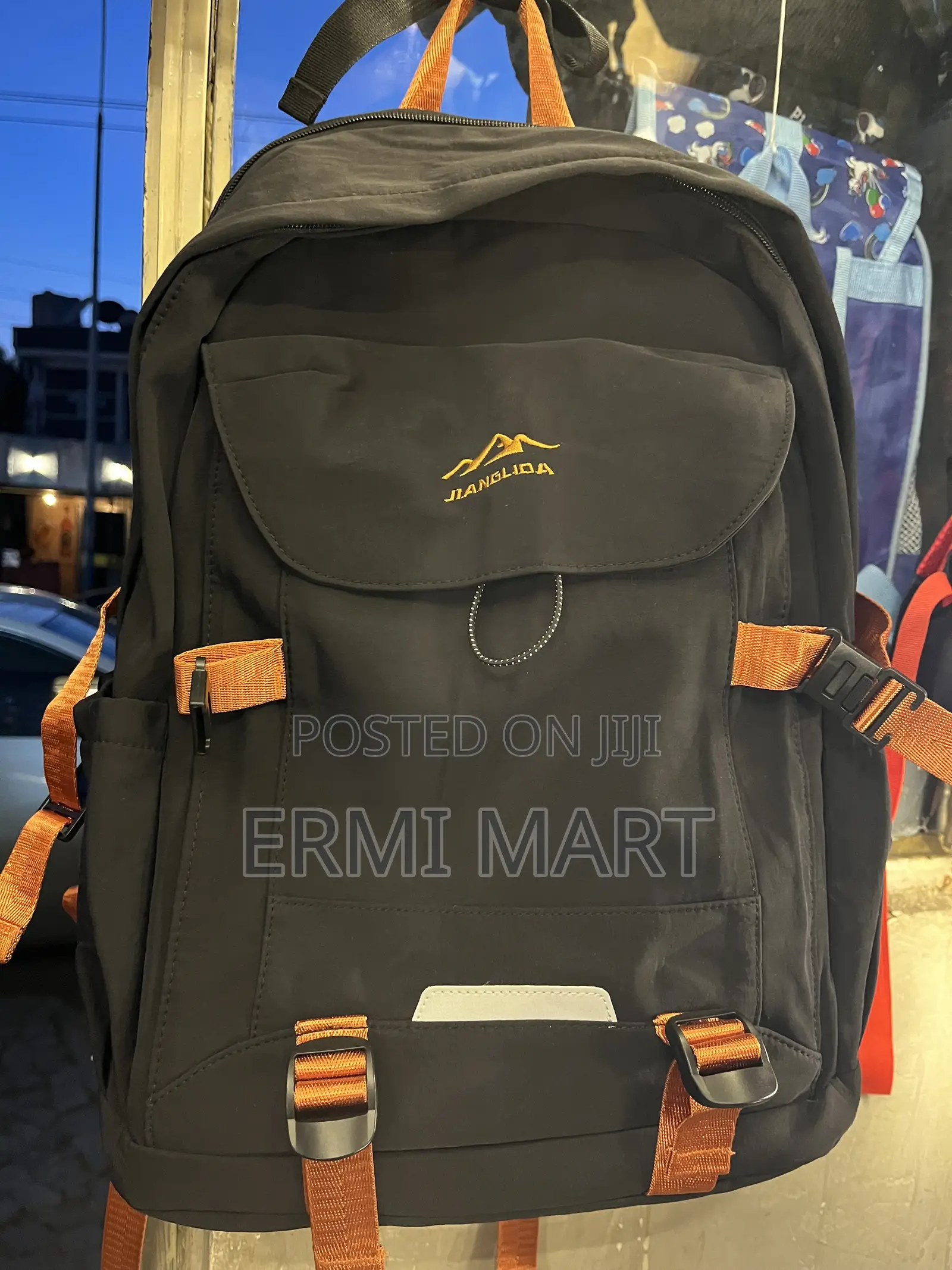 Black Bag With Golden Touch
