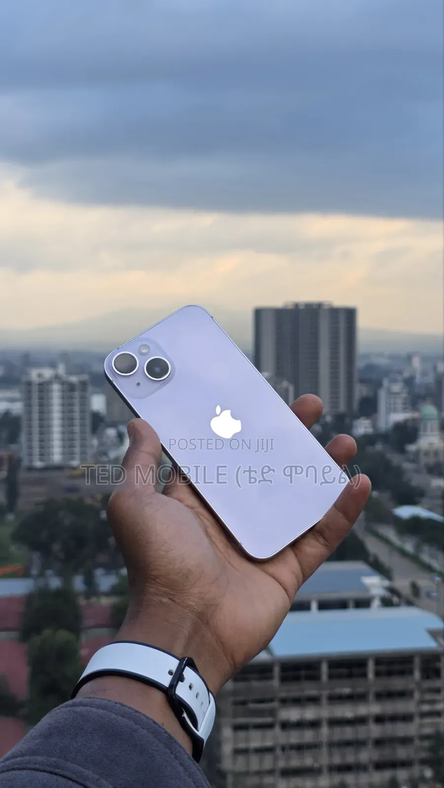 Apple iPhone 14 256 GB