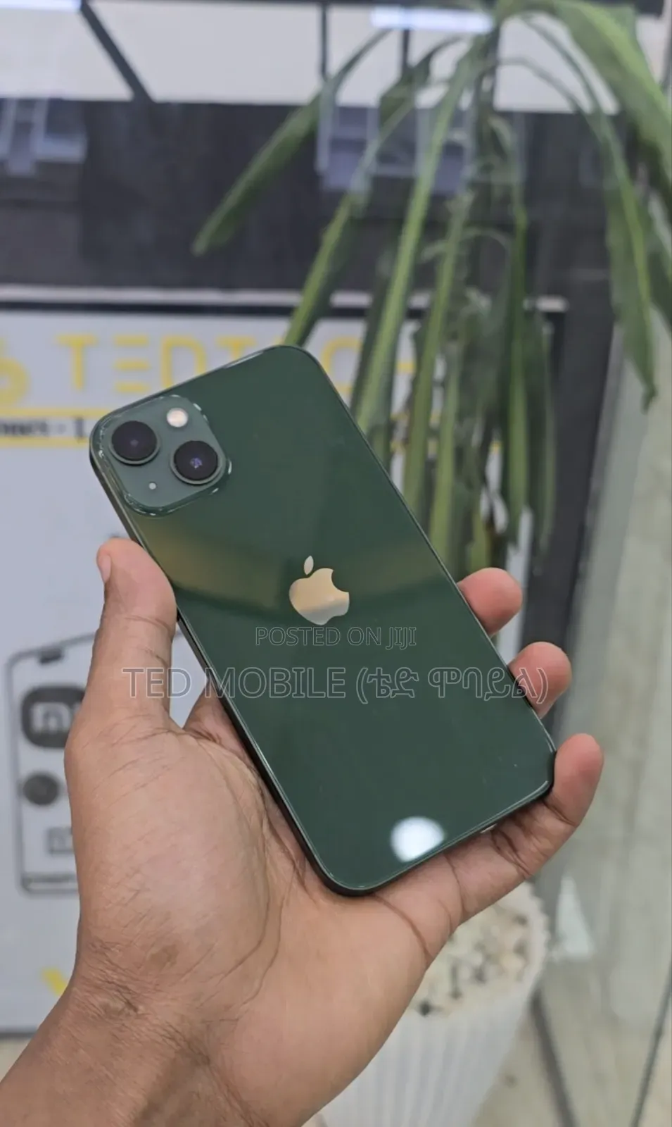 Apple iPhone 13 128 GB Green