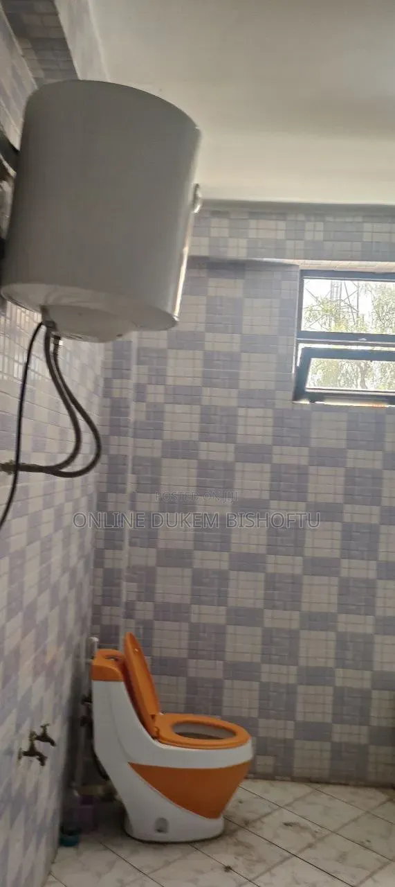 Furnished 10bdrm House in Bishoftu Novia, Oromia-Finfinne for sale
