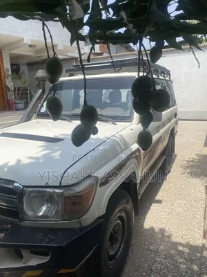 Toyota Land Cruiser 2010 White