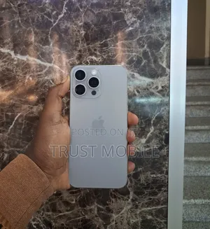 Apple iPhone 15 Pro Max 256 GB Silver