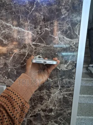 Apple iPhone 15 Pro Max 256 GB Silver