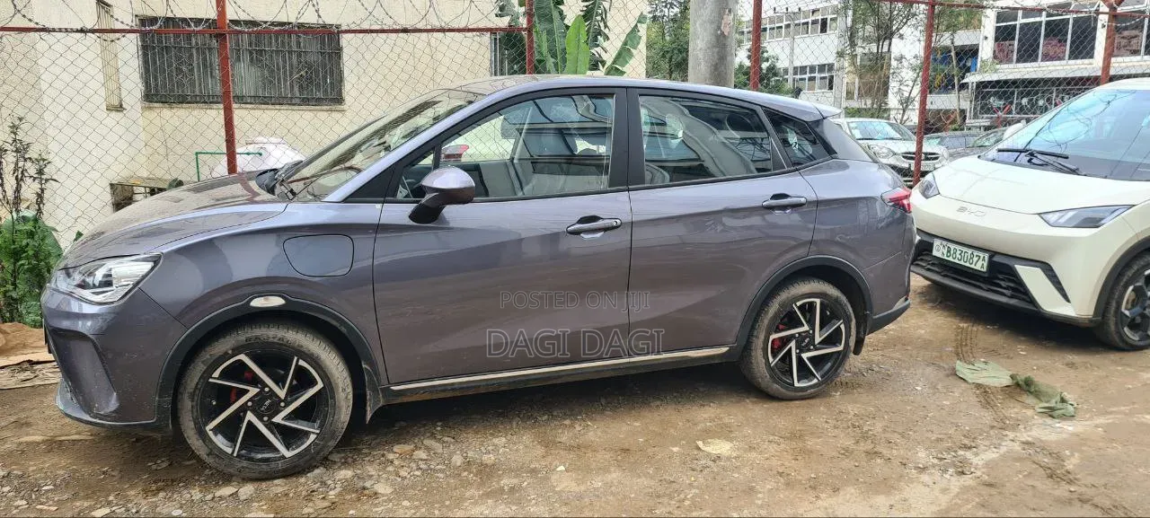 Car 2024 Gray