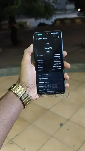 Samsung Galaxy F13 64 GB