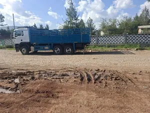 Sino Casoni With Trailer
