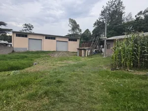 2500m2 Plot Area Warehouse for Rent