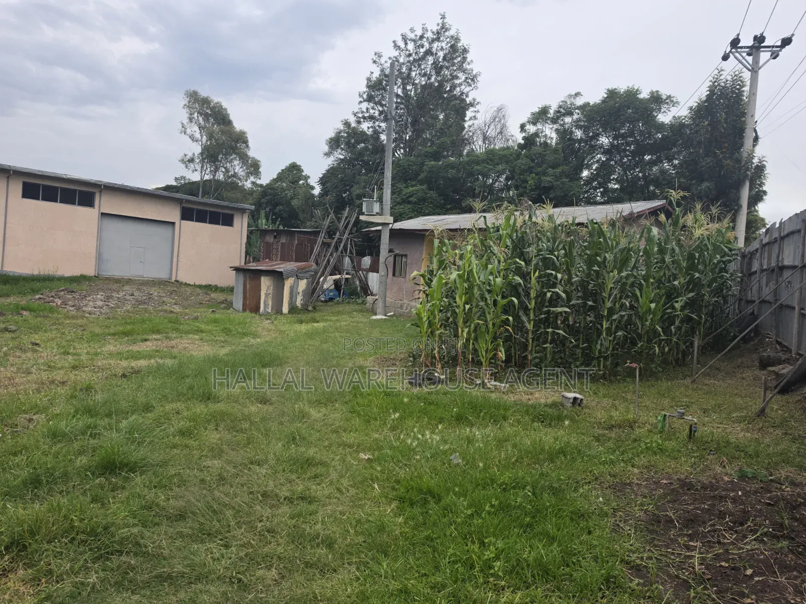 2500m2 Plot Area Warehouse for Rent