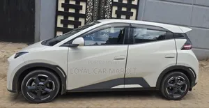 BYD Seagull 2023 Gray