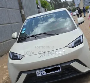 BYD Seagull 2023 Gray