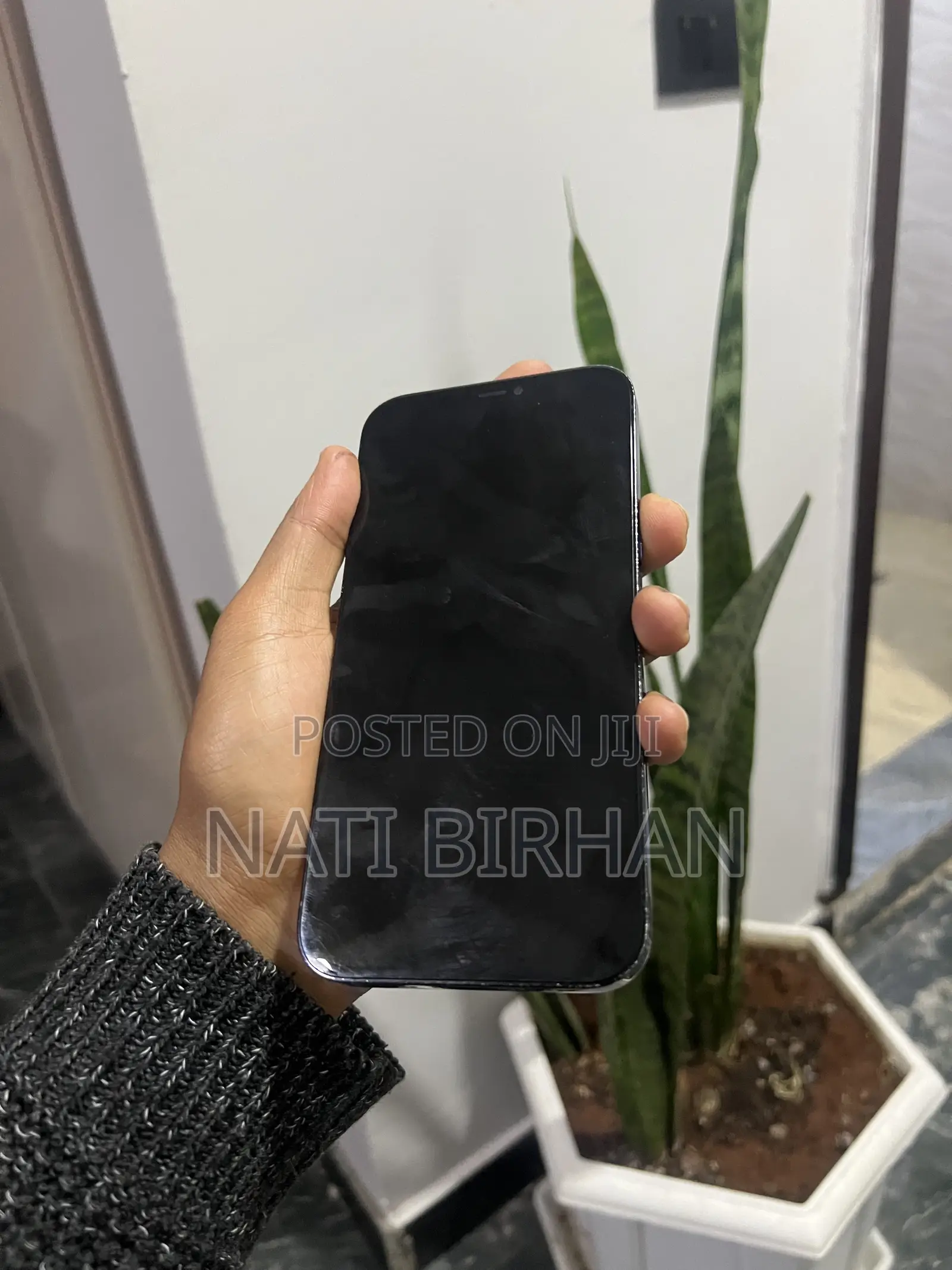 Apple iPhone 12 Pro Max 256 GB Blue
