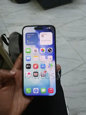 Apple iPhone 15 Pro Max 256 GB Black