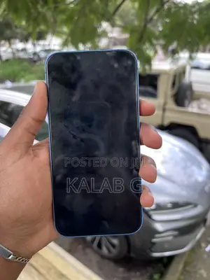 Apple iPhone 13 128 GB Blue