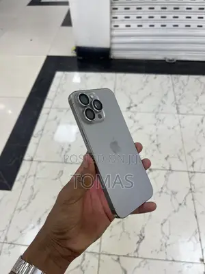 Apple iPhone 15 Pro Max 256 GB Silver