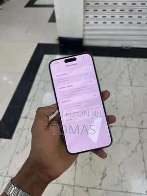 Apple iPhone 15 Pro Max 256 GB Silver