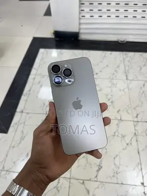 Apple iPhone 15 Pro Max 256 GB Silver