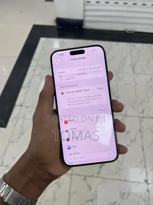 Apple iPhone 15 Pro Max 256 GB Silver