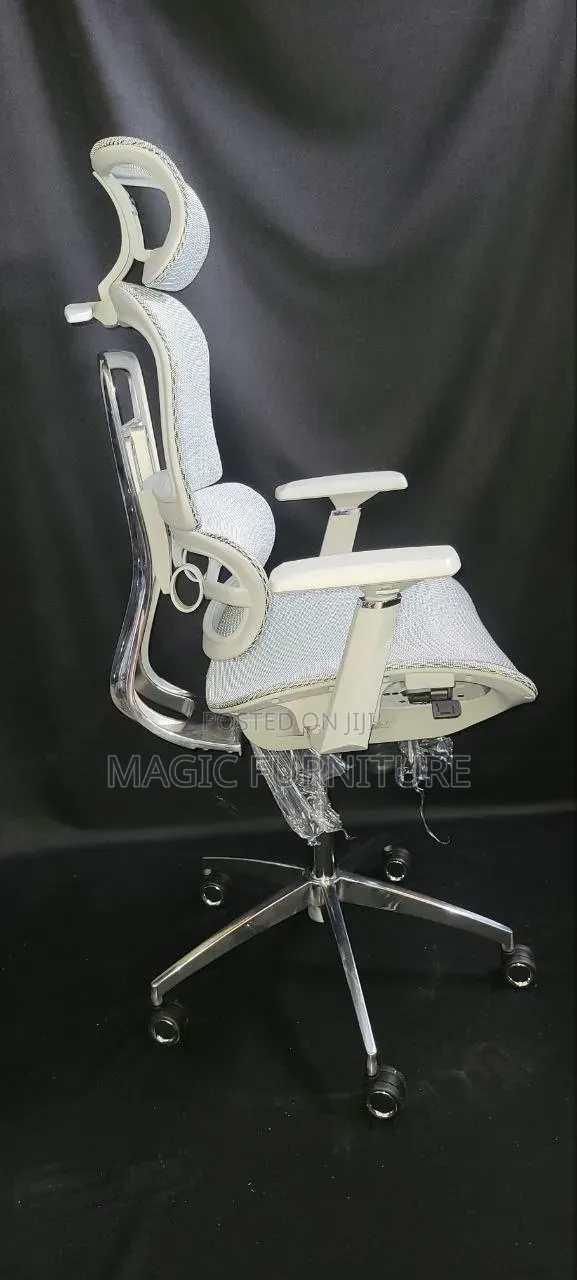 Ergonomic Chair
