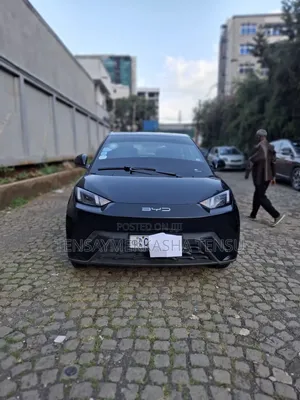 BYD Seagull 2024 Black