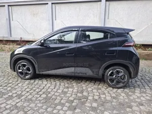 BYD Seagull 2024 Black