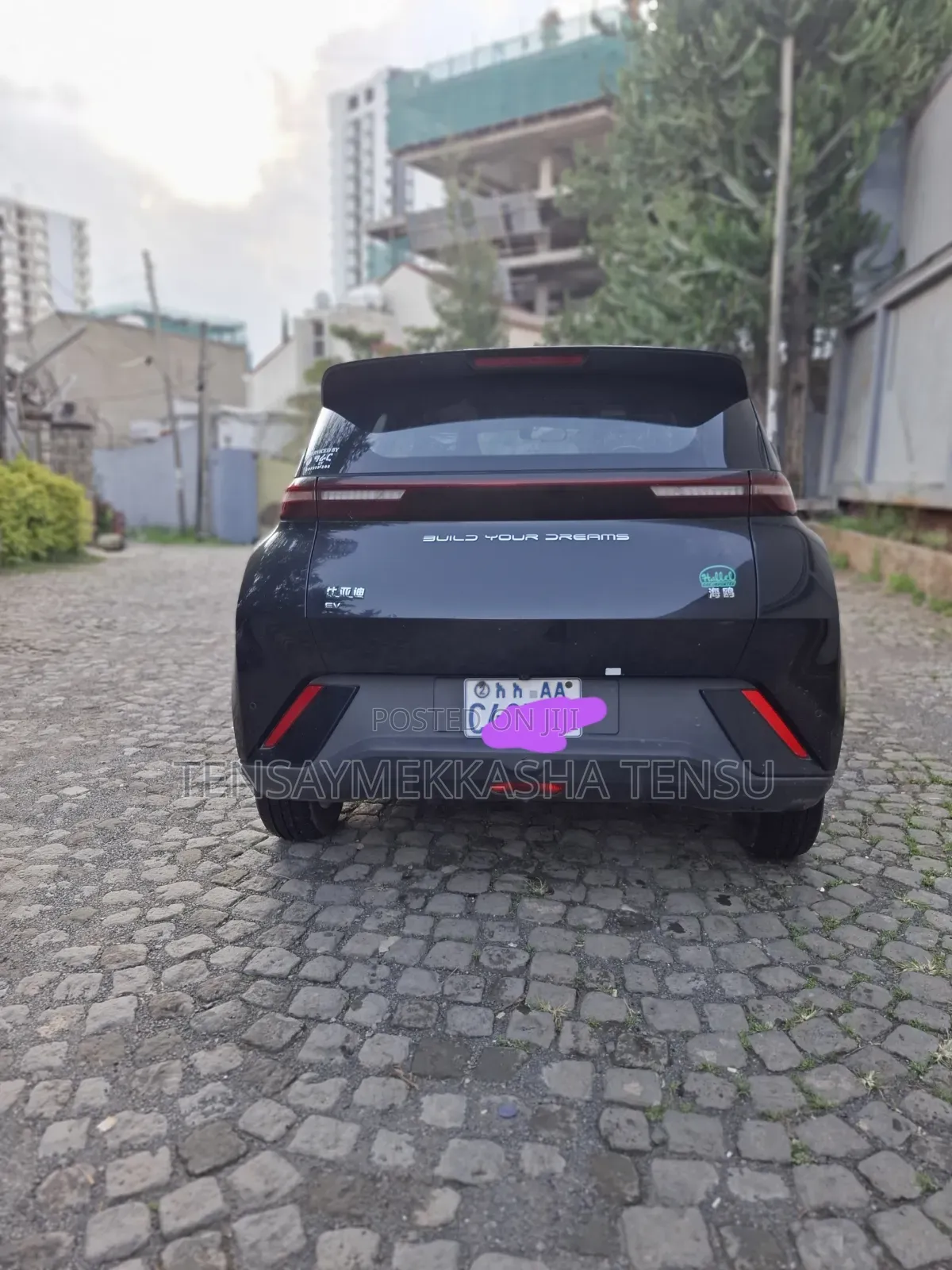 BYD Seagull 2024 Black