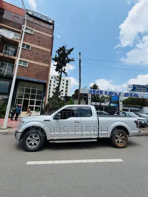 Ford F-150 2017 Silver