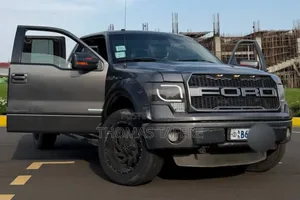 Ford F-150 2014 Gray