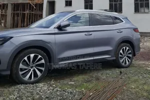 BYD Song Plus 2024 Gray