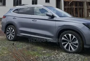 BYD Song Plus 2024 Gray