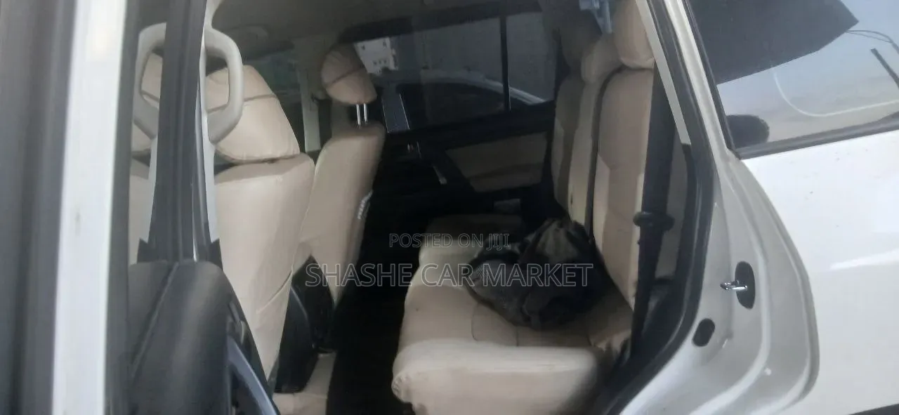Toyota Land Cruiser 2010 Silver