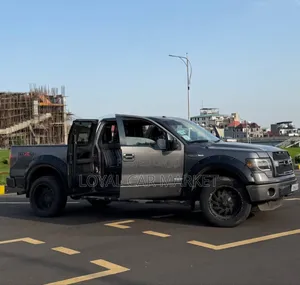 Ford F-150 2014 Gray