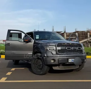 Ford F-150 2014 Gray