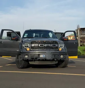 Ford F-150 2014 Gray