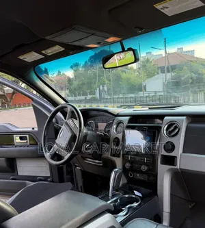 Ford F-150 2014 Gray