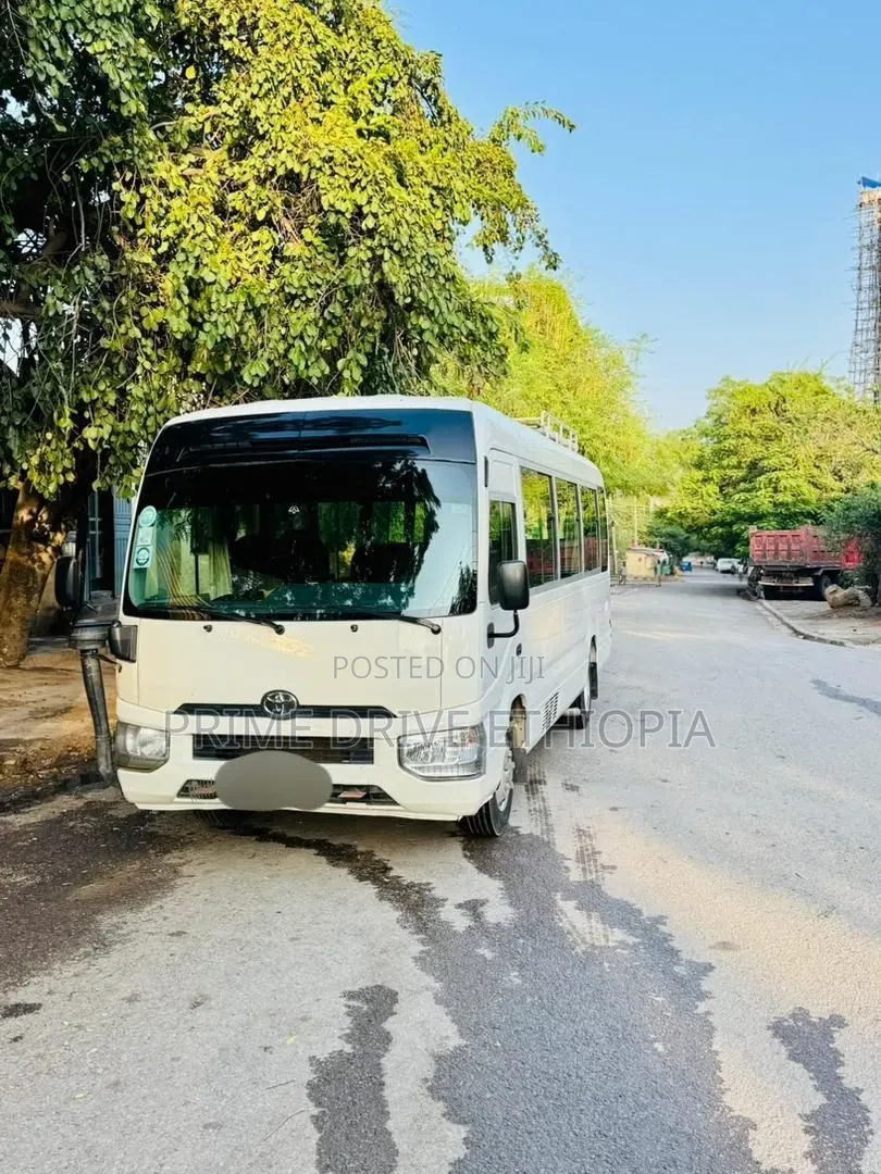 New Model Coaster Bus