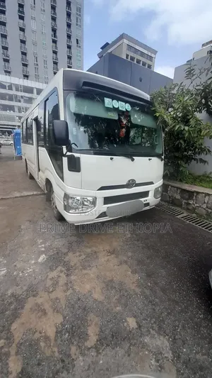 New Model Coaster Bus