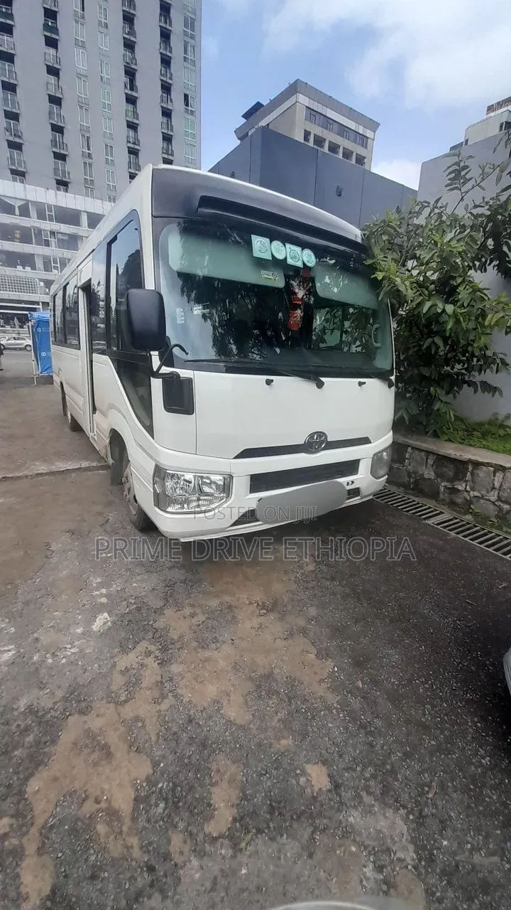 New Model Coaster Bus