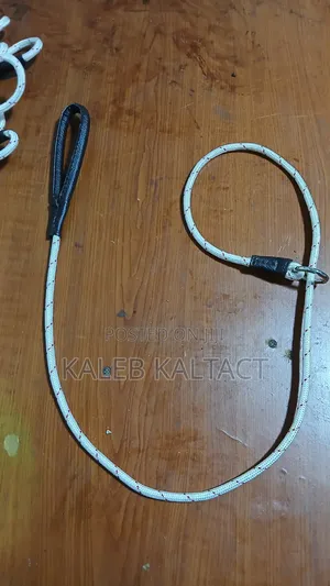Training Dog Leash