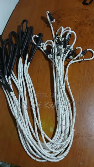 Training Dog Leash