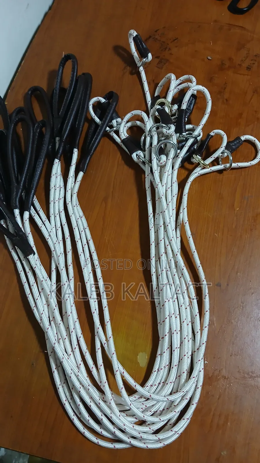 Training Dog Leash