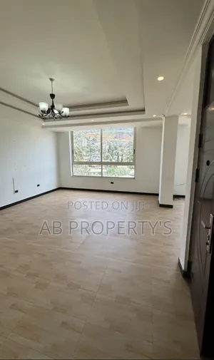 Furnished 3bdrm Apartment in መገናኛ ሾላ, Yeka for sale