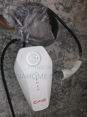 Byd Electric Charge