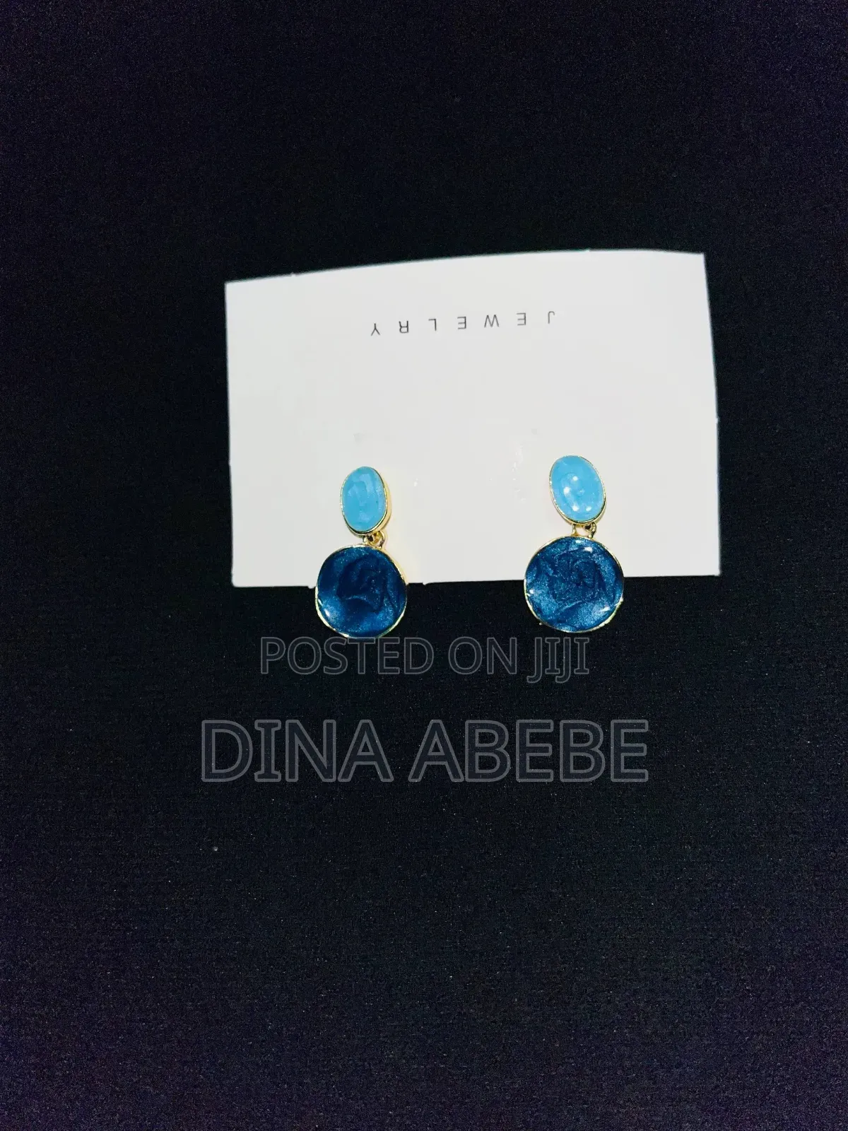 Woman's Earrings