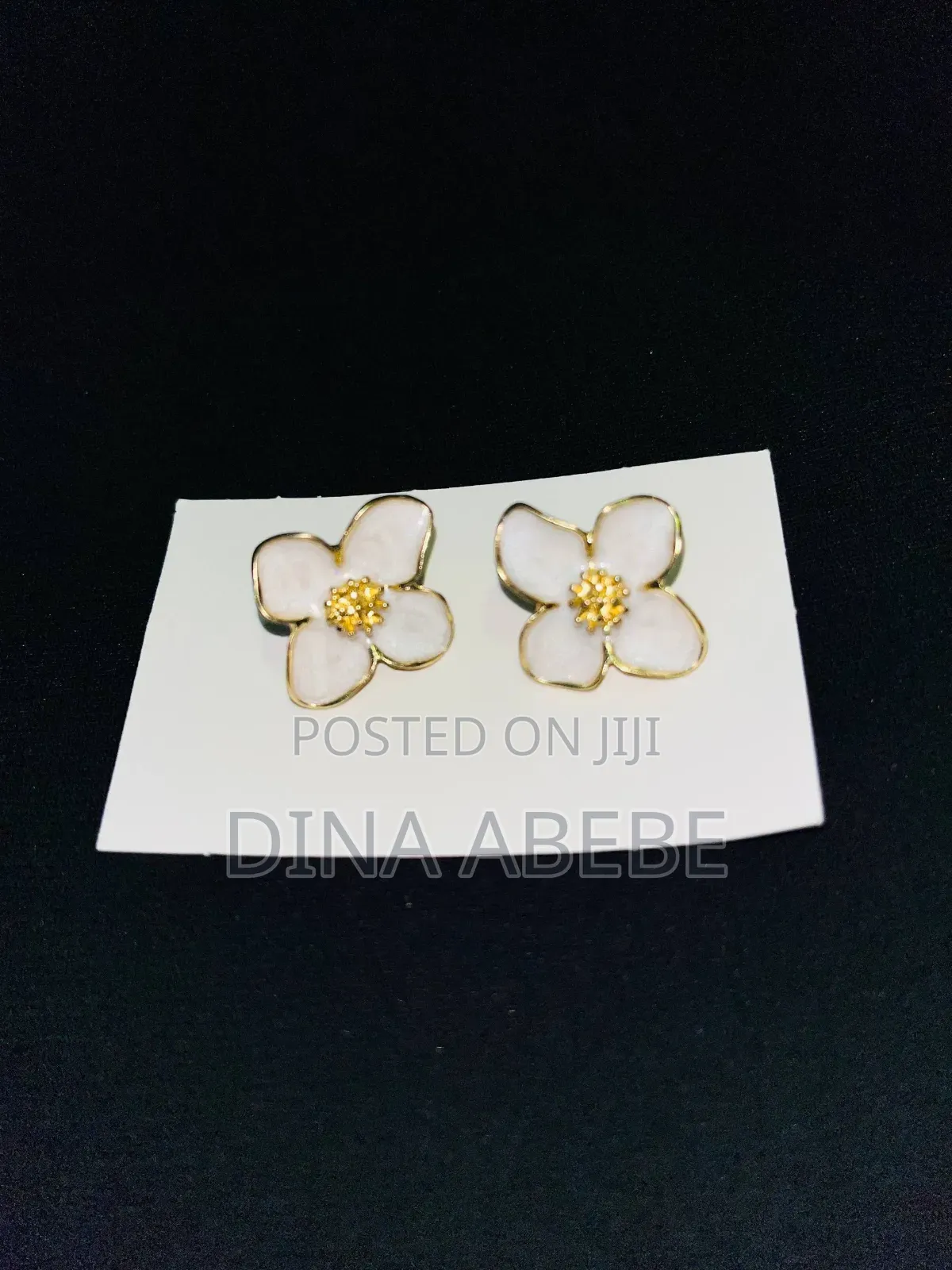 Woman's Earrings